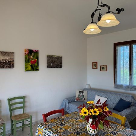 Agriturismo I Debbi Bibbona Extérieur photo