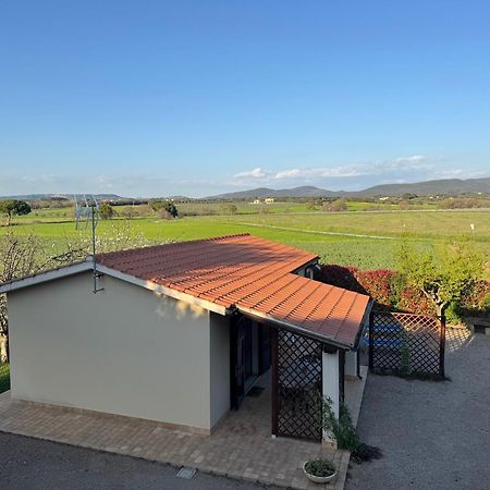 Agriturismo I Debbi Bibbona Extérieur photo