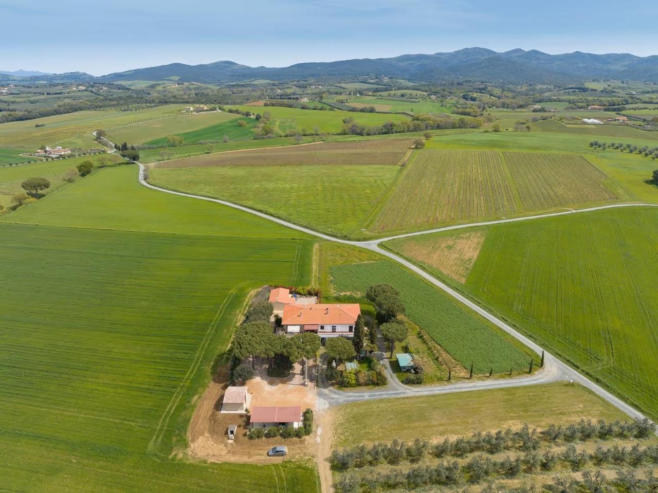 Agriturismo I Debbi Bibbona Extérieur photo