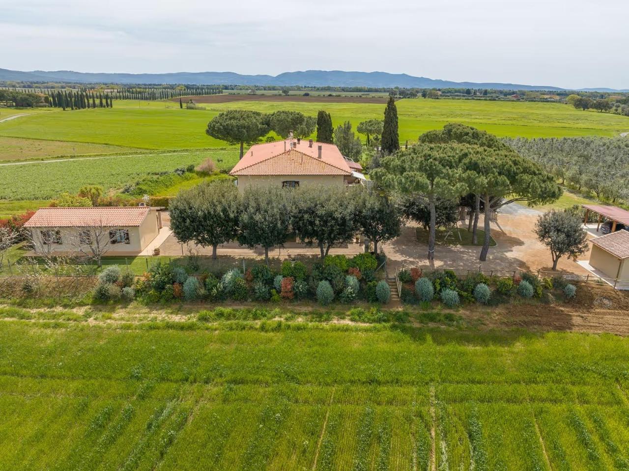 Agriturismo I Debbi Bibbona Extérieur photo