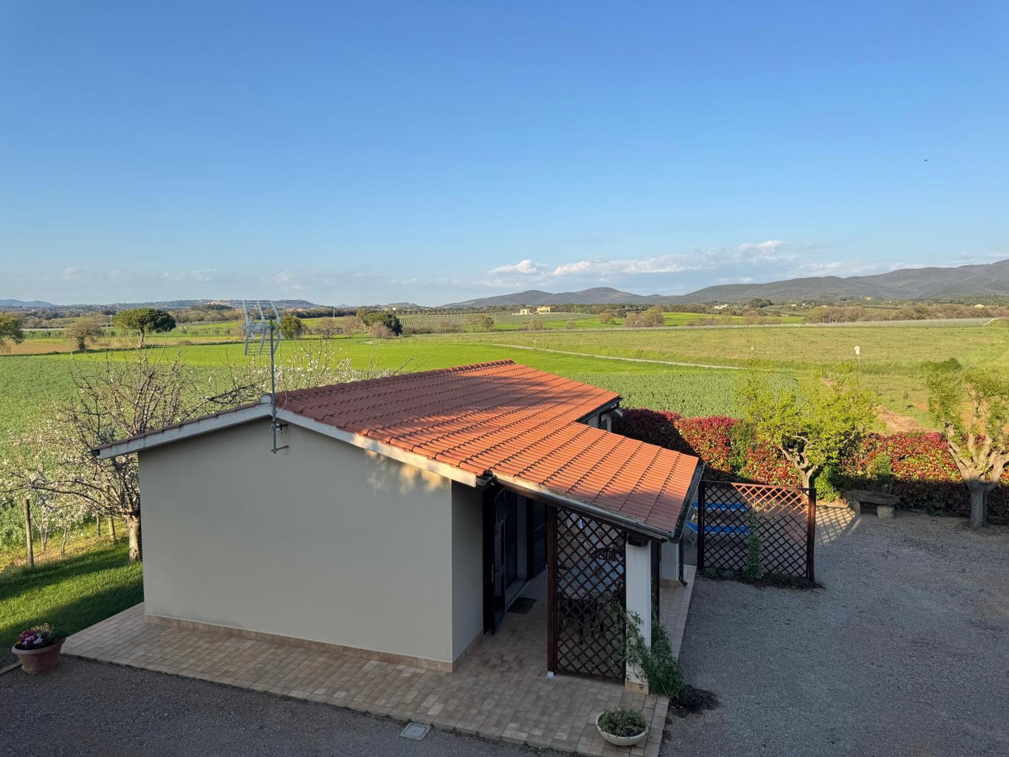 Agriturismo I Debbi Bibbona Extérieur photo